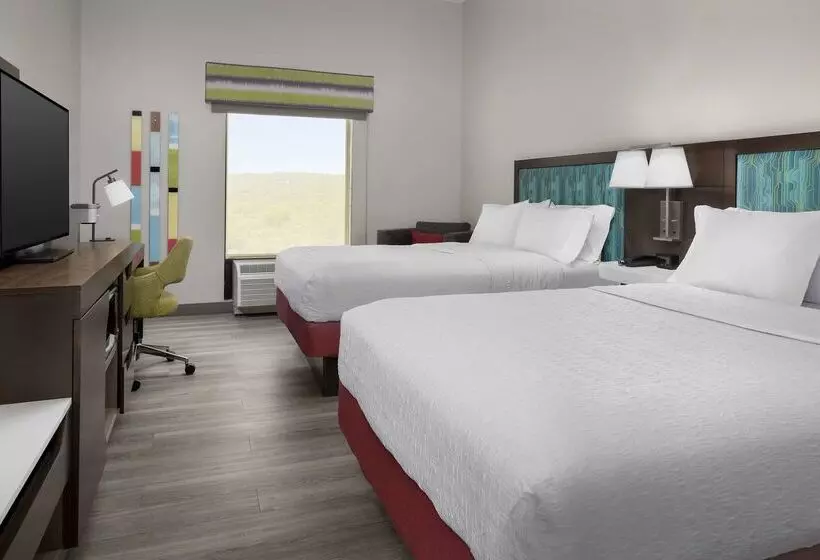 בית מלון כפרי Hampton Inn Birmingham I65/lakeshore Drive