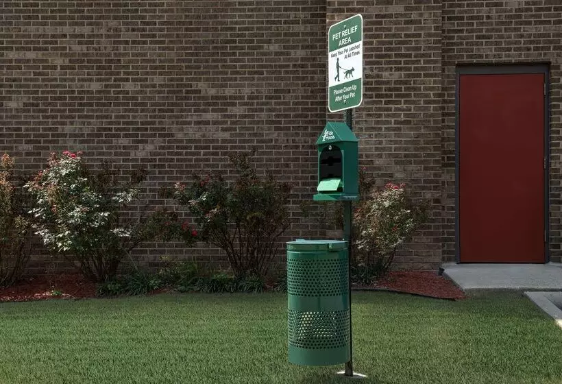 בית מלון כפרי Hampton Inn Birmingham I65/lakeshore Drive