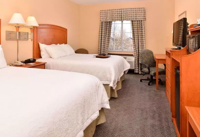 Hotel Hampton Inn Grand Island