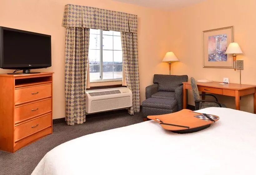 Hotel Hampton Inn Grand Island