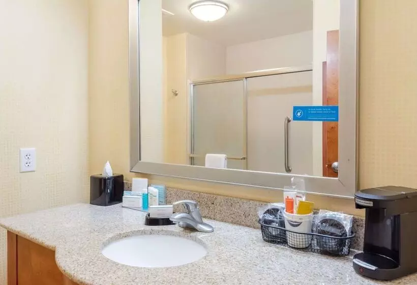 בית מלון כפרי Hampton Inn Ringgold Ft. Oglethorpe