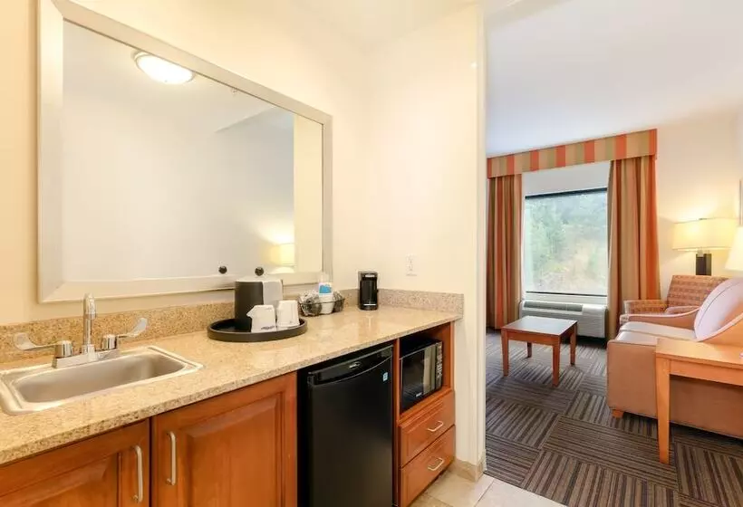 בית מלון כפרי Hampton Inn Ringgold Ft. Oglethorpe