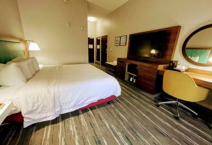 هتل Hampton Inn & Suites Pensacola I10 N At Univ. Town Plaza