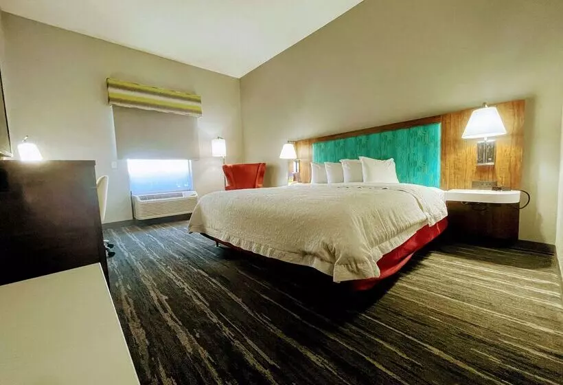 هتل Hampton Inn & Suites Pensacola I10 N At Univ. Town Plaza