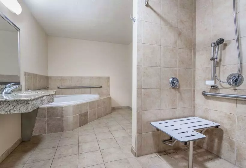 ホテル Hampton Inn & Suites Sacramentoelk Grove Laguna I5