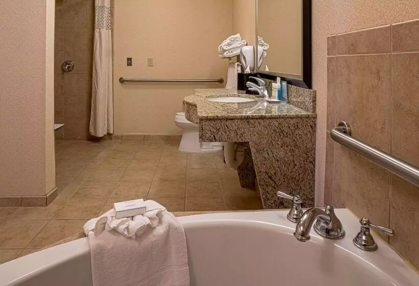 ホテル Hampton Inn & Suites Sacramentoelk Grove Laguna I5