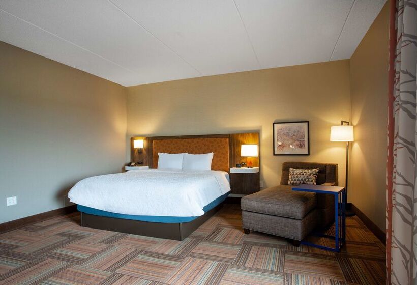 Отель Hampton Inn Watertown