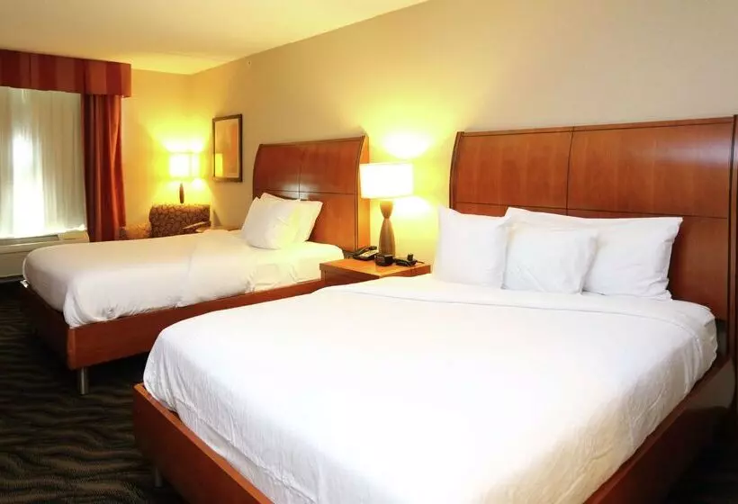 هتل Hilton Garden Inn Chesapeake/suffolk