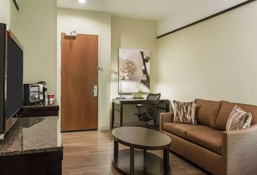 هتل Hilton Garden Inn West Palm Beach Airport