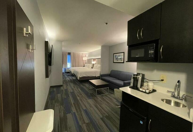 Szálloda Holiday Inn Express & Suites Columbia   East Elkridge, Jessup An Ihg