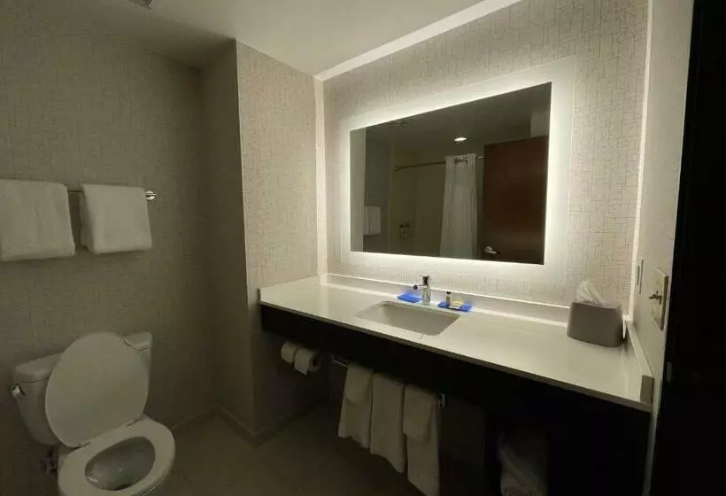 هتل Holiday Inn Express & Suites Columbia   East Elkridge, Jessup An Ihg