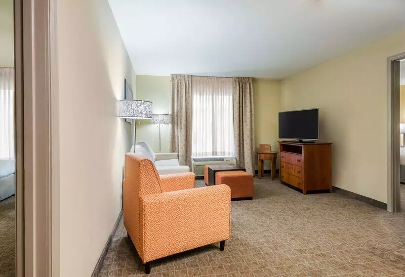 هتل Homewood Suites By Hilton St. Louis Riverport Airport West