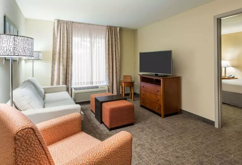 هتل Homewood Suites By Hilton St. Louis Riverport Airport West