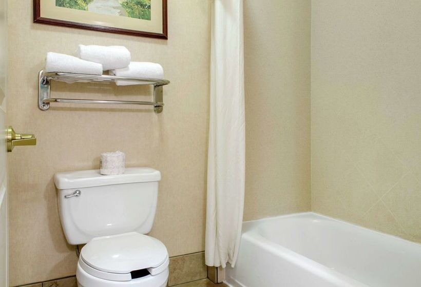 בית מלון כפרי Homewood Suites Covington