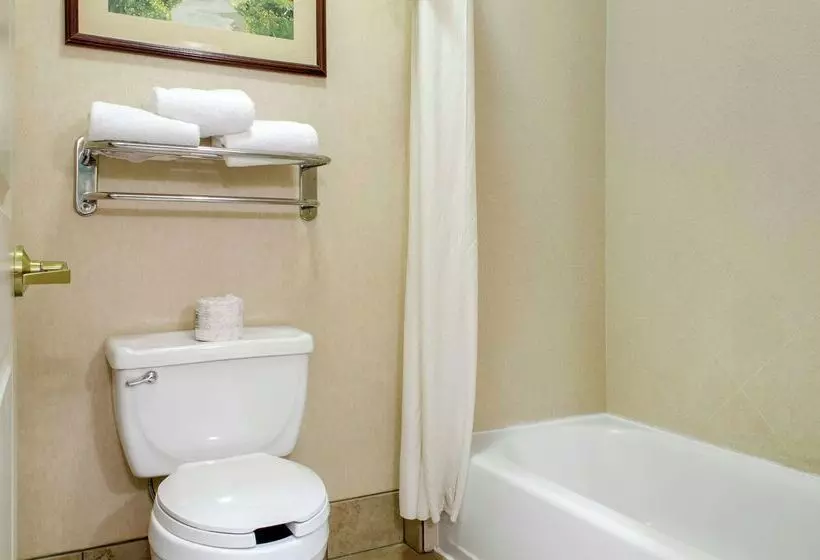 酒店 Homewood Suites Covington