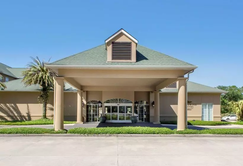 酒店 Homewood Suites Covington