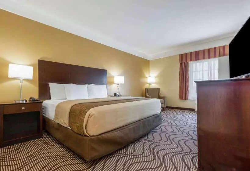 Szálloda La Quinta Inn & Suites By Wyndham Angleton