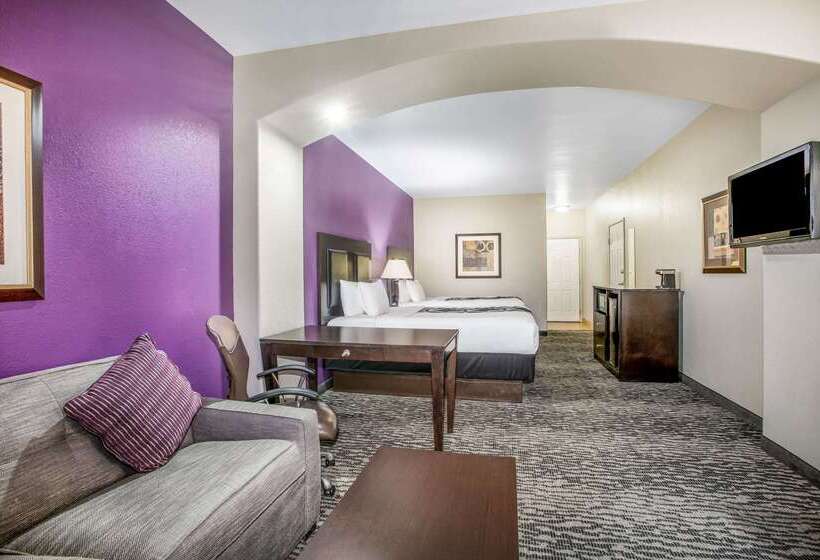 فندق La Quinta By Wyndham Kyle   Austin South