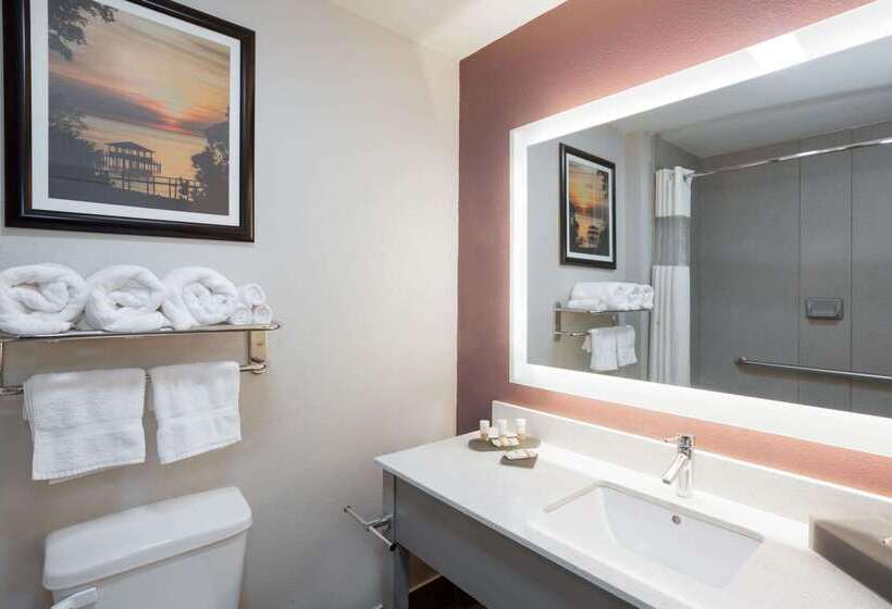 Отель La Quinta By Wyndham Mobile   Daphne