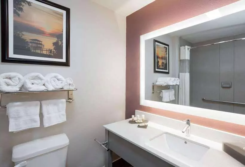 酒店 La Quinta By Wyndham Mobile   Daphne