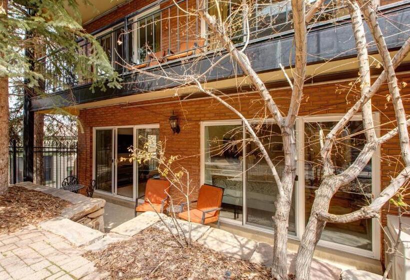 هتل Main Street Modish