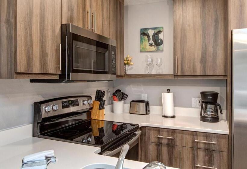 هتل Main Street Modish