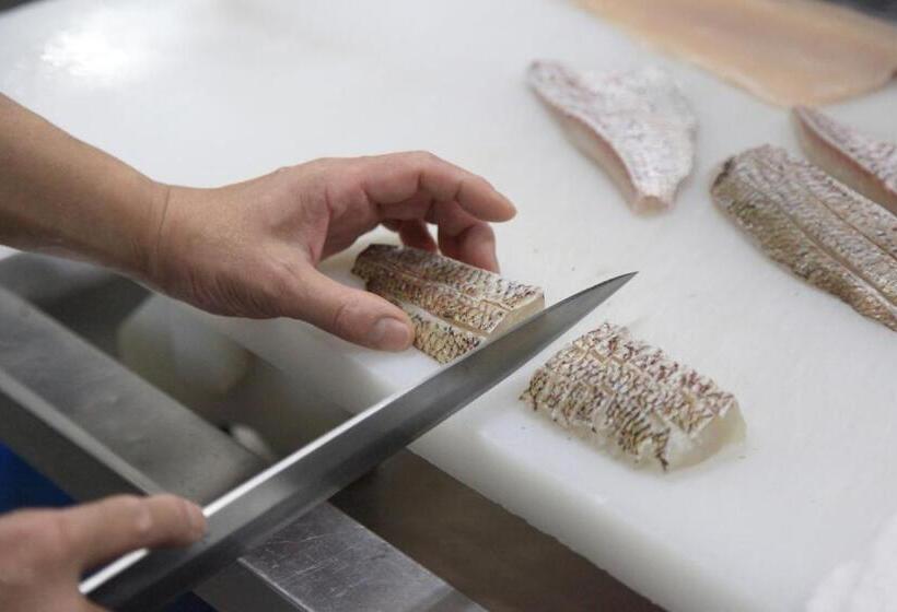 فندق New Kotobuki