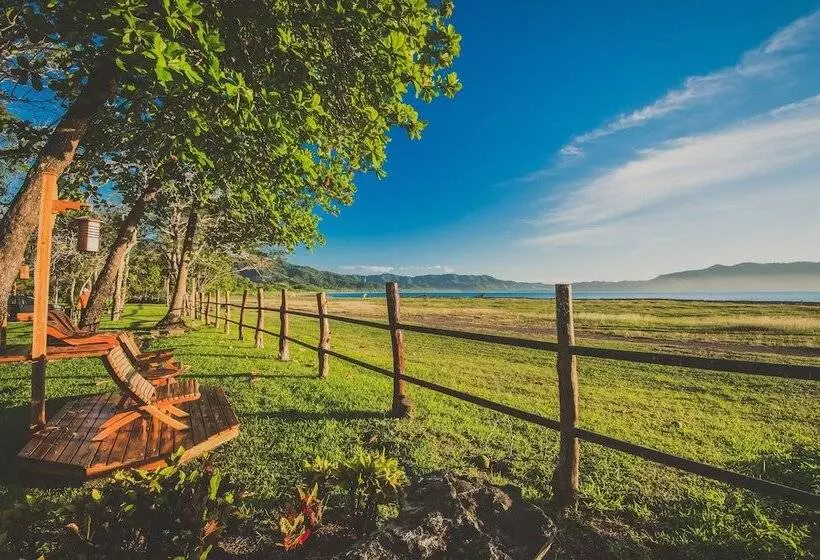 Отель Tambor Tropical Beach Resort Adults Only