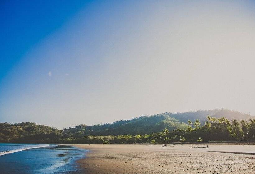 فندق Tambor Tropical Beach Resort Adults Only