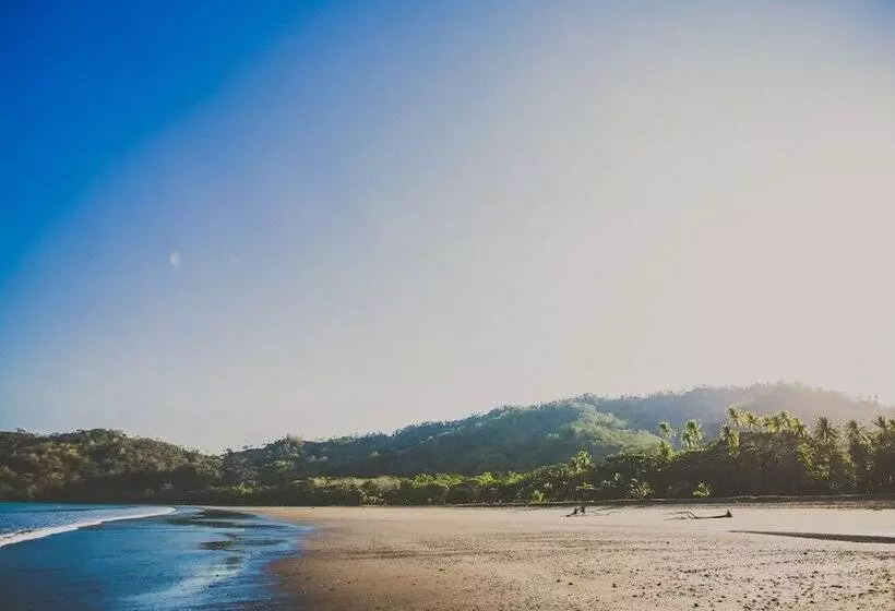 Отель Tambor Tropical Beach Resort Adults Only