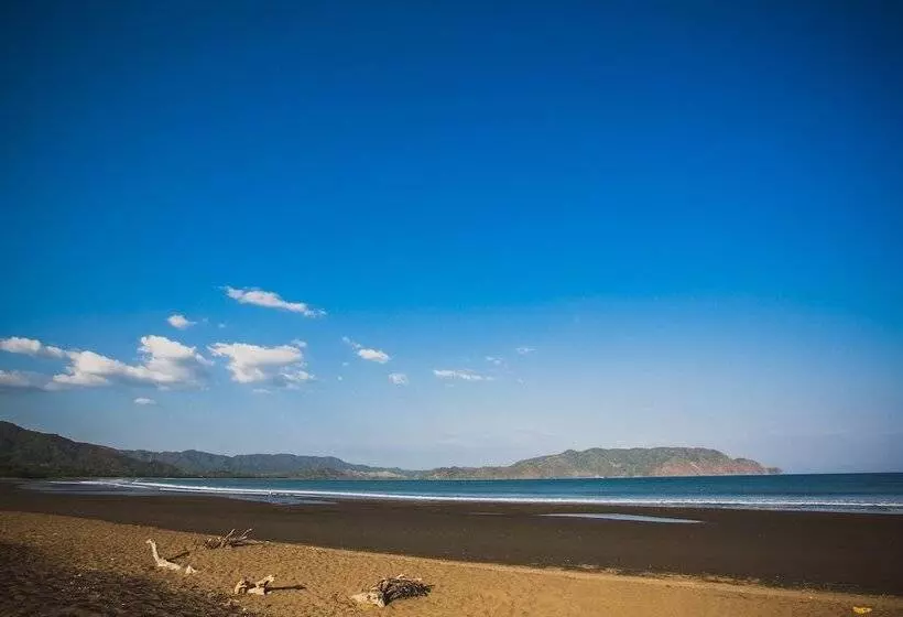 Отель Tambor Tropical Beach Resort Adults Only