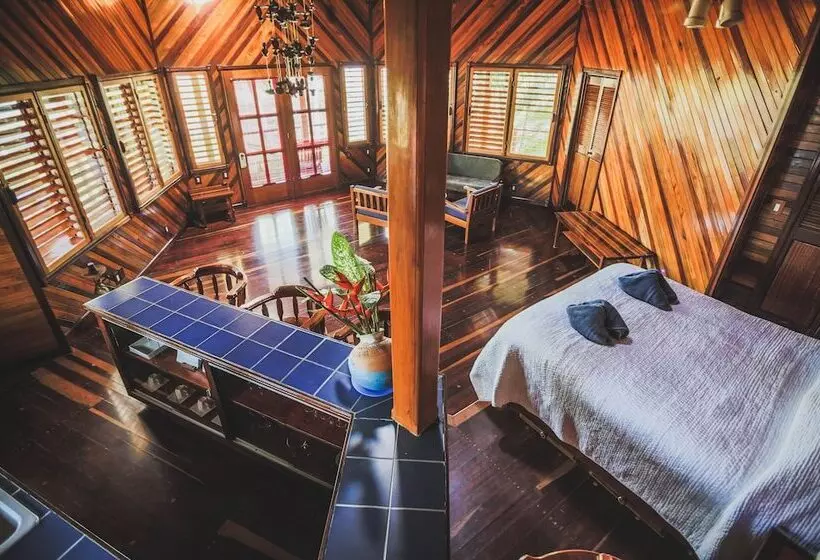 Отель Tambor Tropical Beach Resort Adults Only