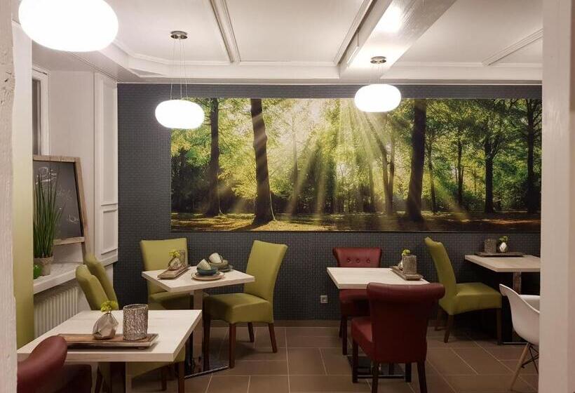 Parkhotel Villingen Und Boardingzimmer