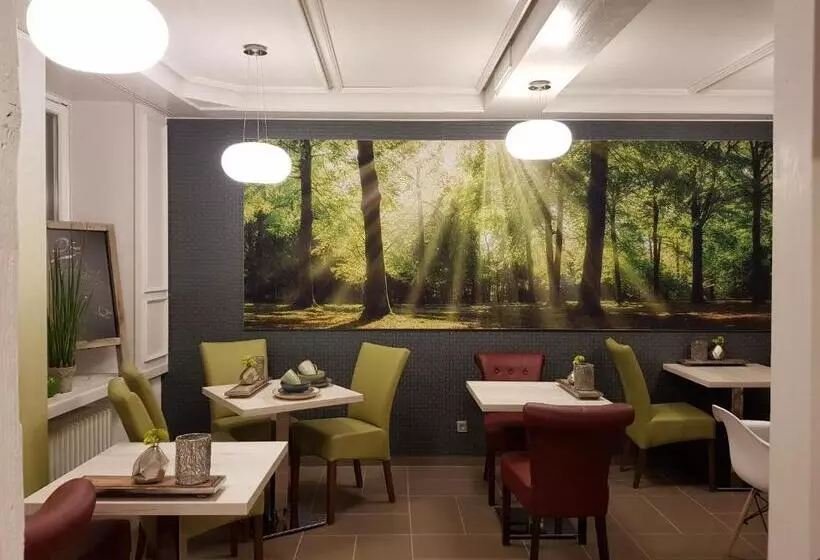 Parkhotel Villingen Und Boardingzimmer