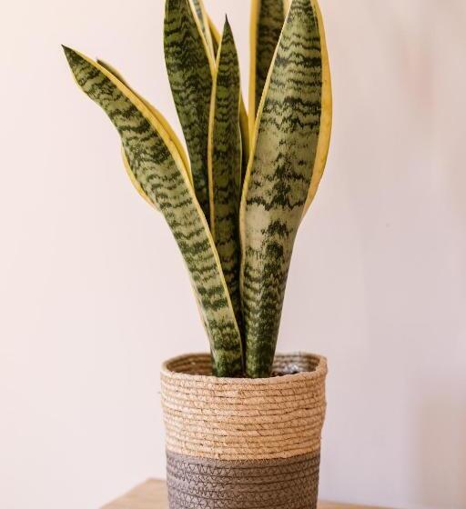 בית מלון כפרי Casa Del Maco