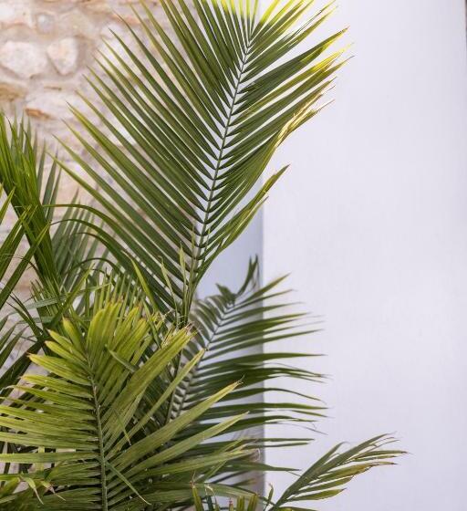 בית מלון כפרי Casa Del Maco