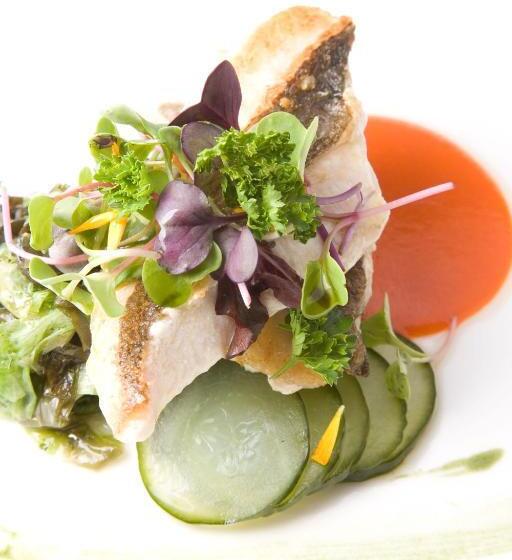 בית מלון כפרי Casa Del Maco