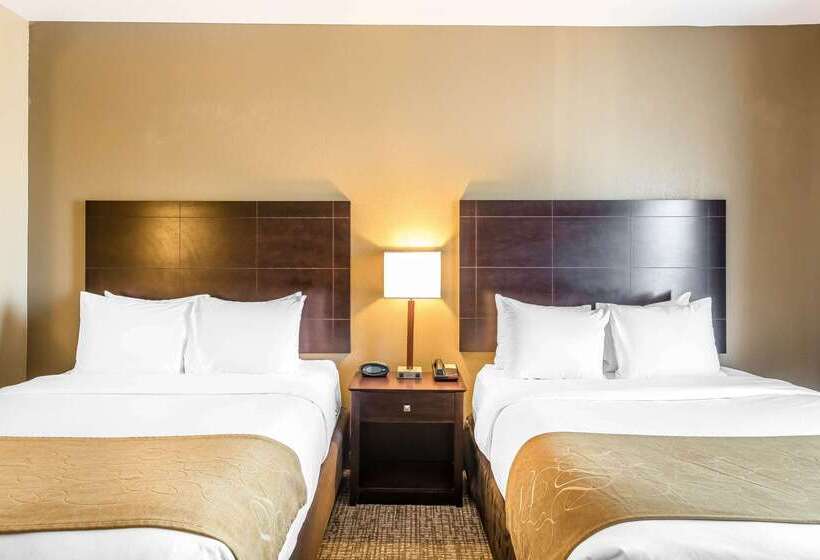 فندق Comfort Suites North