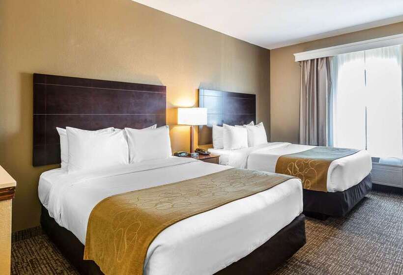 فندق Comfort Suites North