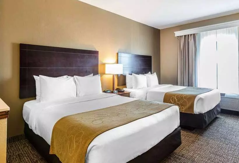 هتل Comfort Suites North