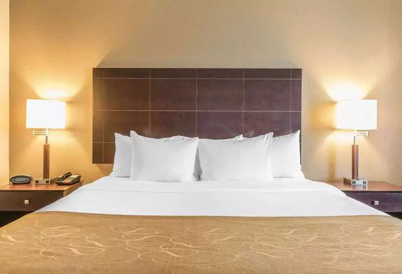 هتل Comfort Suites North