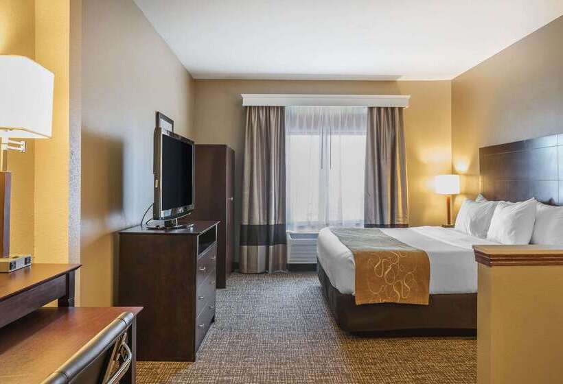 فندق Comfort Suites North