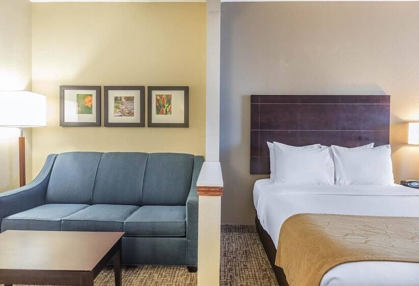 فندق Comfort Suites North