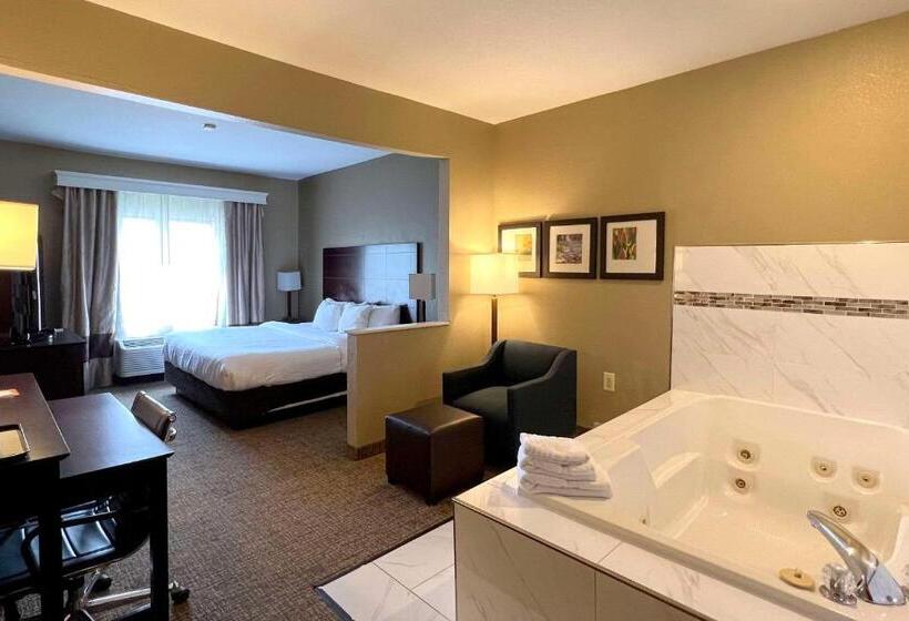 فندق Comfort Suites North