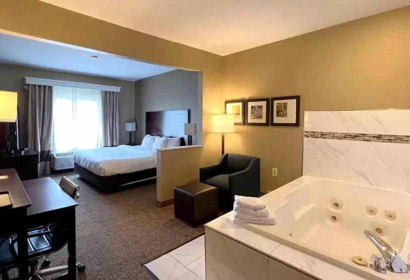 هتل Comfort Suites North
