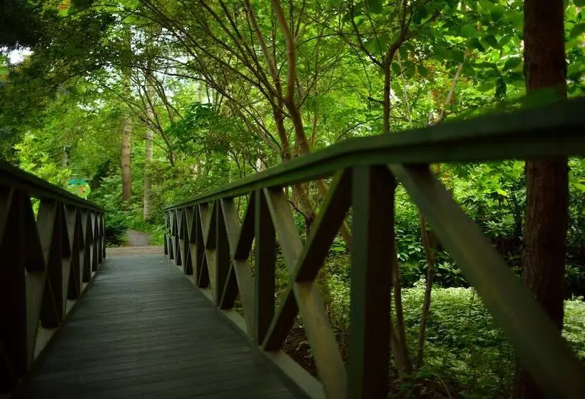 Отель Daiheigen