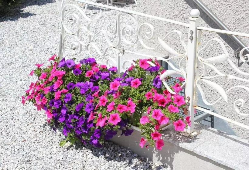 ホテル Garni Hubertus Nostalgie & Charme