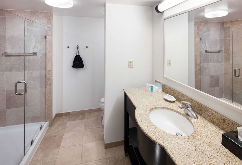 ホテル Hampton Inn & Suites Jackson