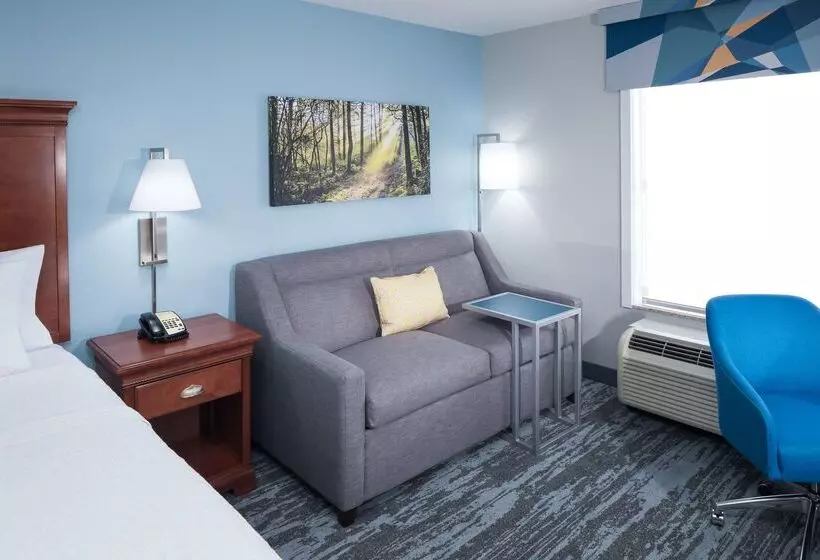 هتل Hampton Inn & Suites Jackson