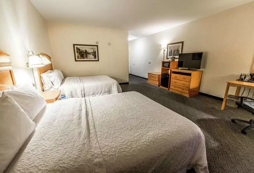 酒店 Hampton Inn Dallasrockwall